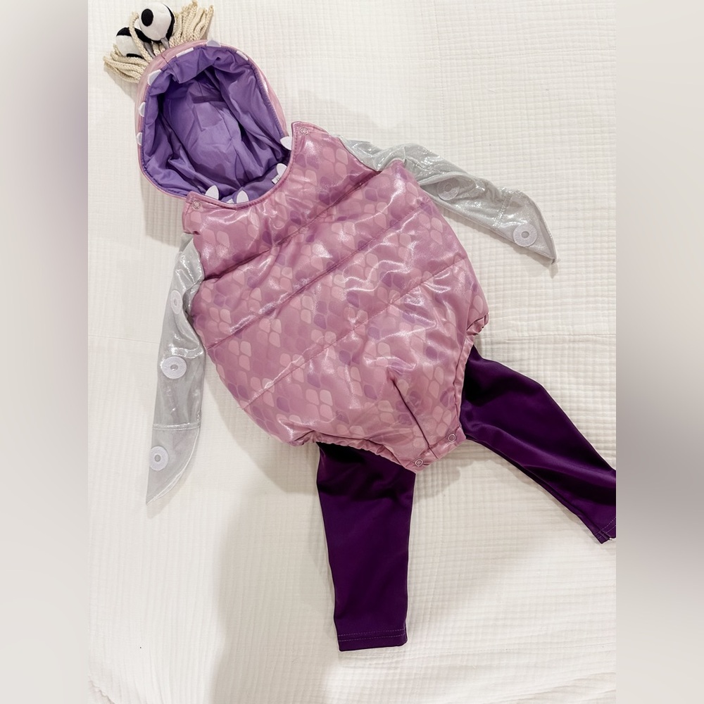 Pottery Barn Monsters Inc Boo Costume